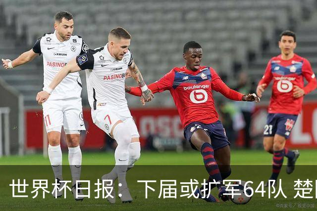 世界杯日报：下届或扩军64队 楚阿梅尼复出战西班牙