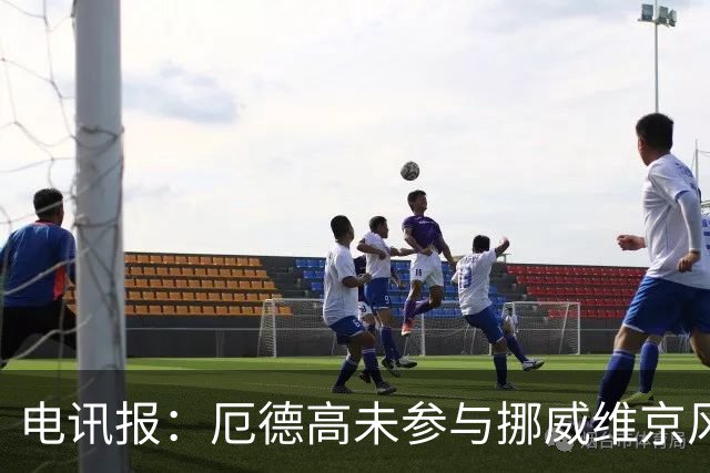 电讯报：厄德高未参与挪威维京风合照拍摄，随后补拍被添加进照片