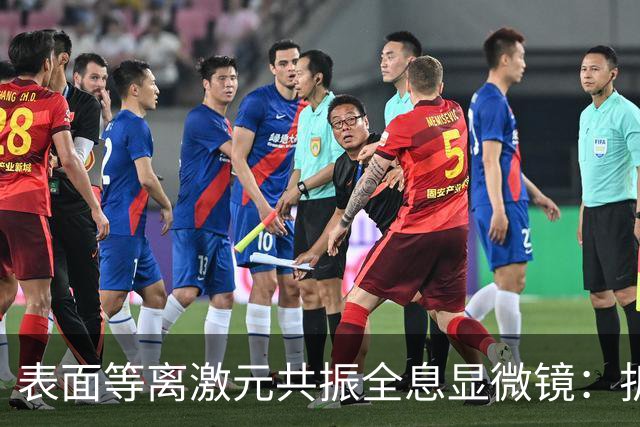 表面等离激元共振全息显微镜：折射率与厚度测量的新突破