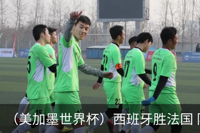 （美加墨世界杯）西班牙胜法国 队史第二次闯入世界杯决赛